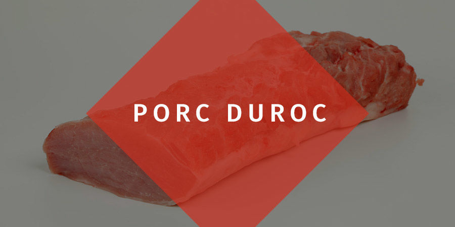 Porc duroc